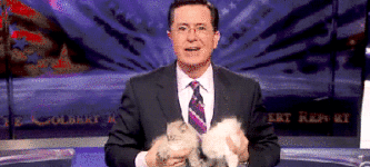 I+didn%26%238217%3Bt+think+Stephen+Colbert+could+get+any+cuter%26%238230%3B