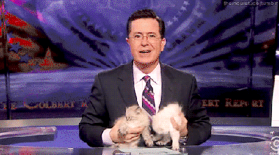 I+didn%26%238217%3Bt+think+Stephen+Colbert+could+get+any+cuter%26%238230%3B