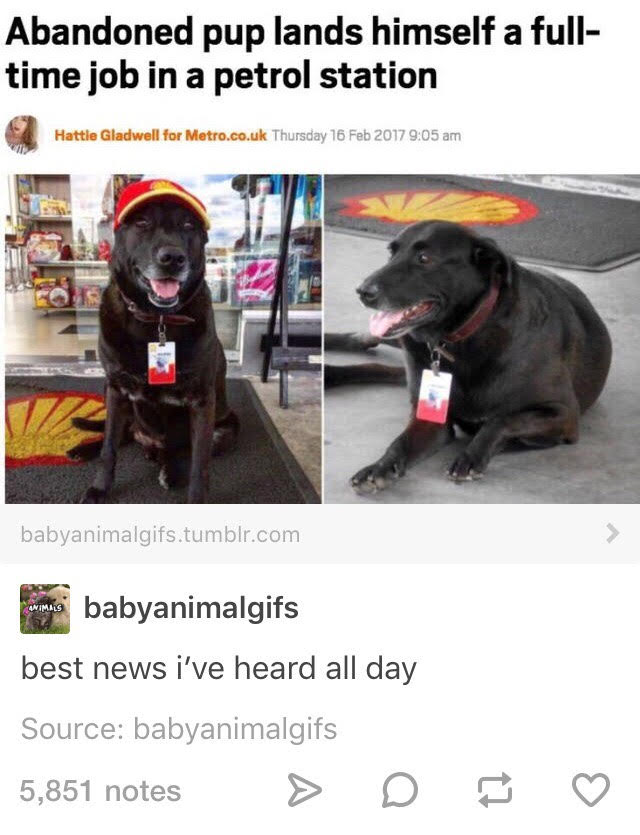 The+media+needs+more+wholesome+news