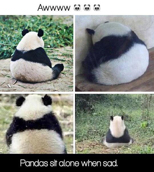 And+here+I+am%2C+sitting+alone.