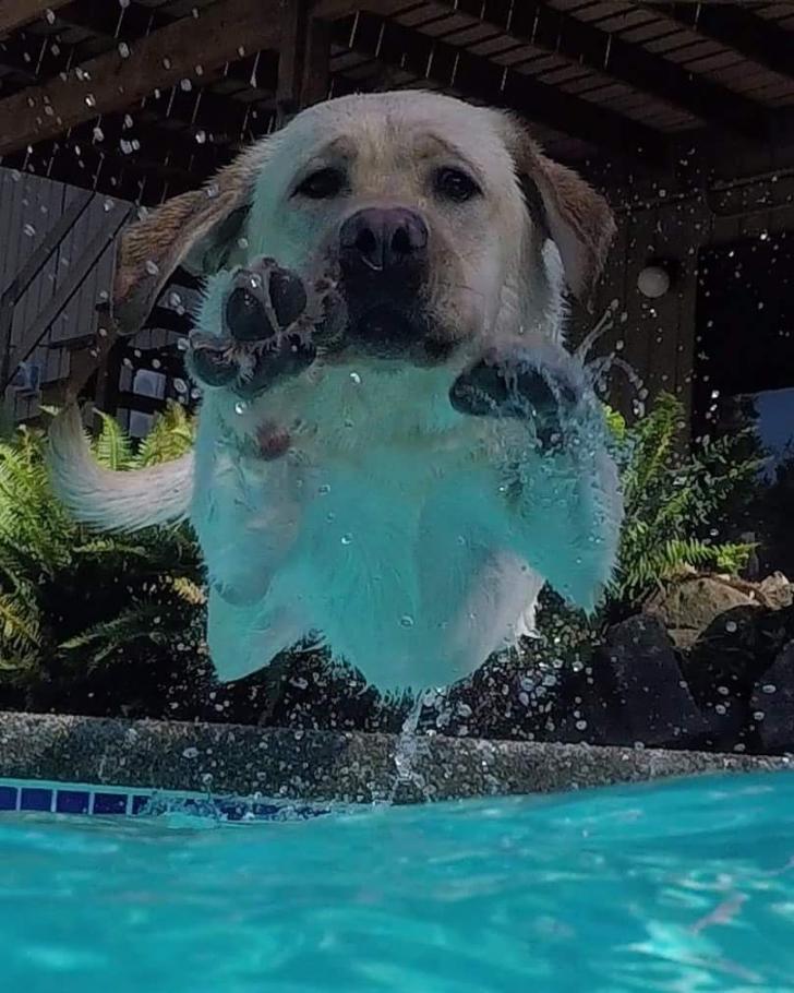 He%26%238217%3Bs+finally+not+scared+of+the+pool