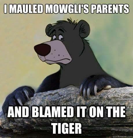 The+Real+Confession+Bear