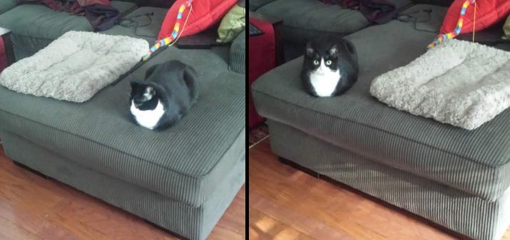 Why+do+I+even+buy+you+things%3F