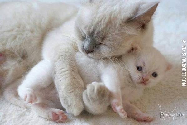 Maaa+not+now%2C+my+friends+are+looking