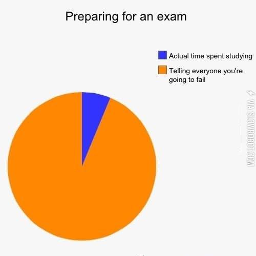Preparing+for+an+exam.
