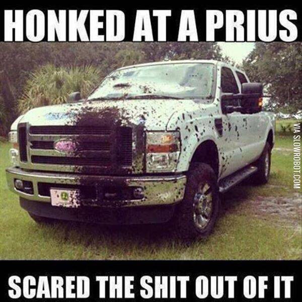 Honked+at+a+Prius