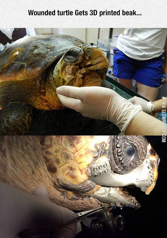 We+Can+Rebuild+It.+We+Have+The+Technology