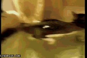 Now+that%26%238217%3Bs+something+you+don%26%238217%3Bt+see+everyday.