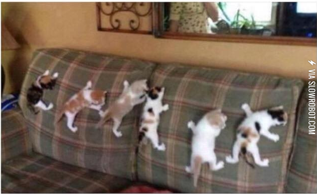 don%26%238217%3Bt+touch+the+bottom+guys%2C+pretend+it%26%238217%3Bs+hot+lava