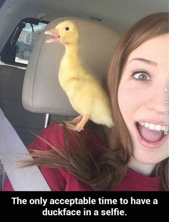 The+Duck%26%238217%3Bs+Duckface