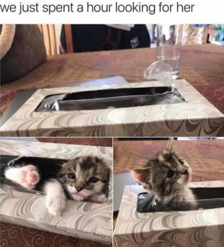 We+Just+Spent+A+Hour+Looking+For+Her%26%238230%3B