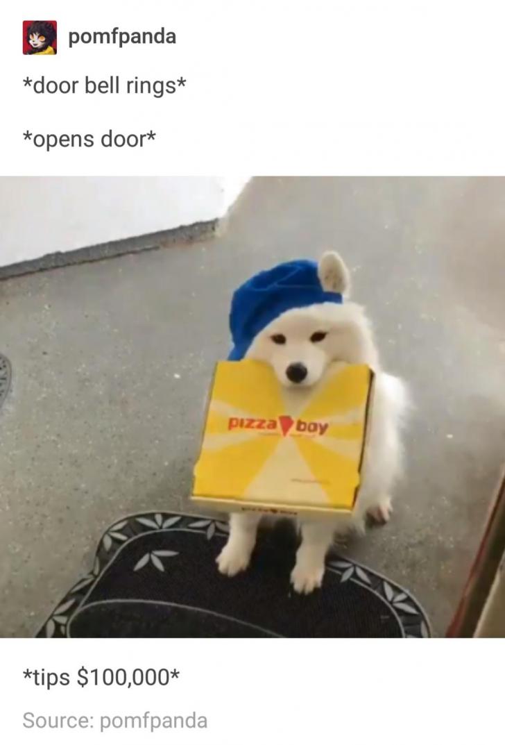 The+good+boy+deserved+that+tip