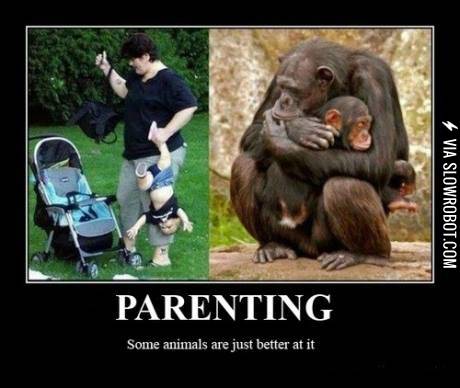 Some+animals+are+just+better+at+it%26%238230%3B