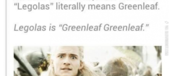 Greenleaf+Greenleaf.