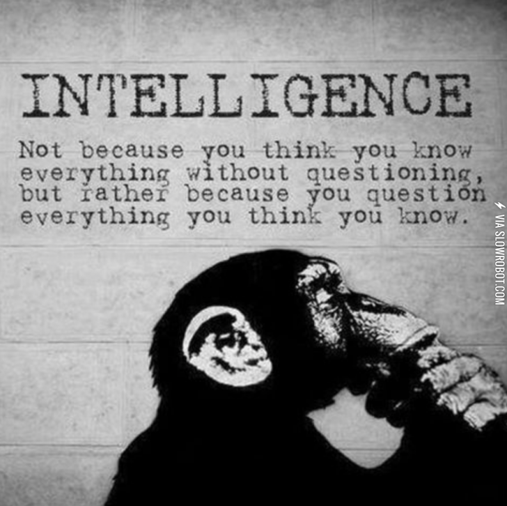 Intelligence.