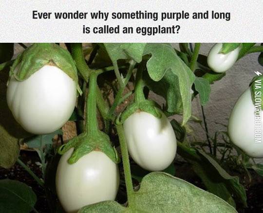 The+Mystery+Has+Been+Solved