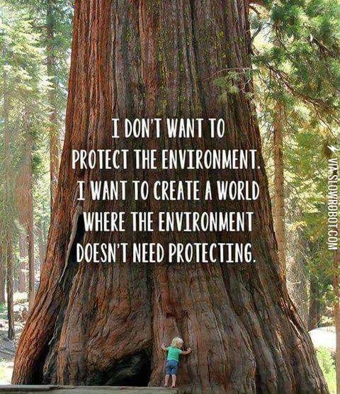 The+world+I+want+to+live+in