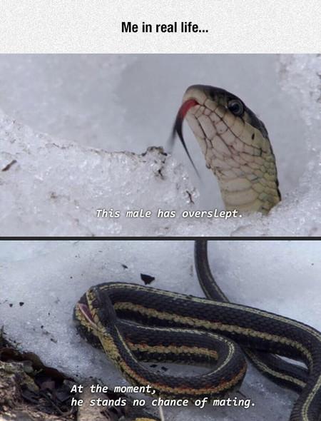 Yep%2C+Story+Of+My+Life