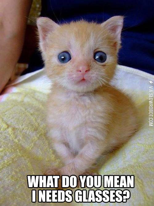 What+do+you+mean+I+needs+glasses%3F