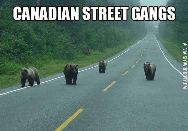 Canadian+Street+Gangs.