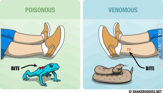 Some+People+Keep+Getting+This+Wrong