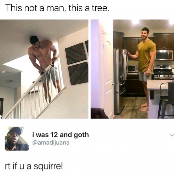 Tree+man+is+6%26%238217%3B7