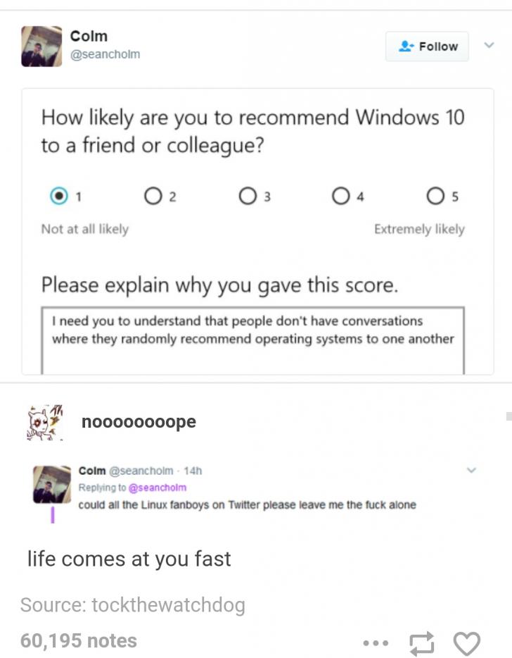 Do+you+recommend+windows+10%3F