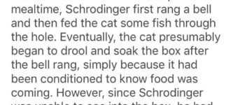 Schrodinger%2C-+A+Tall+Tail