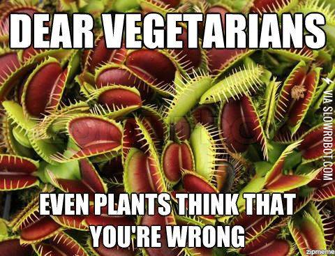 Dear+vegetarians.
