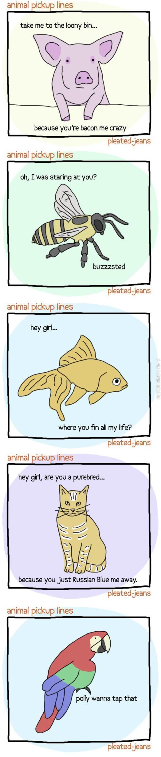 Animal+pickup+lines.