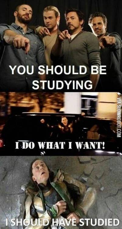 Loki+learned+a+valuable+lesson+today