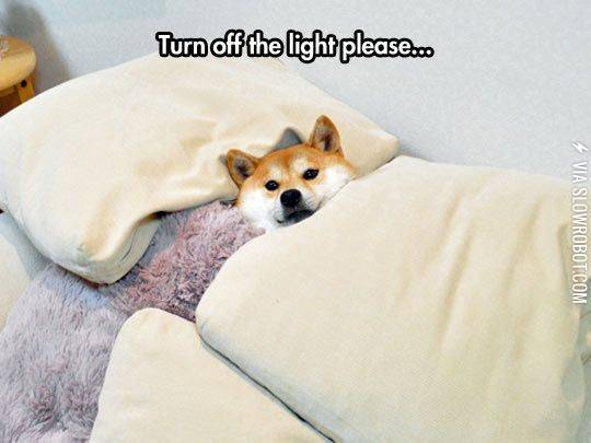 And+close+the+door%26%238230%3B