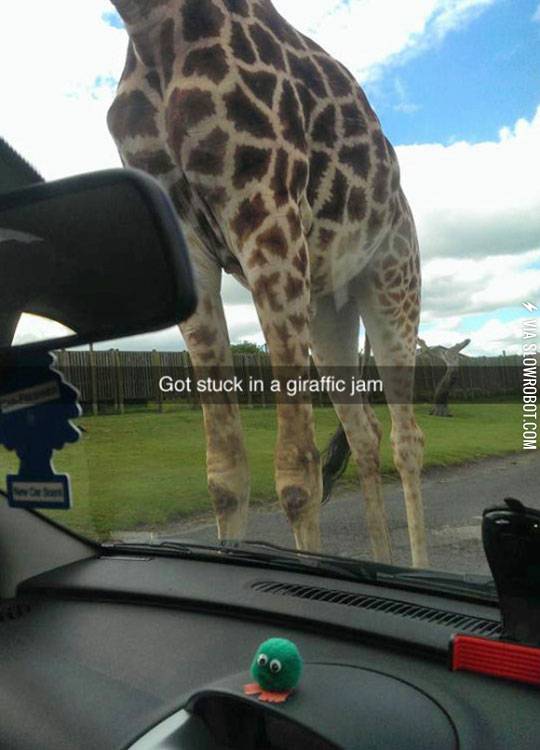 Traffic+Is+Awful+Today