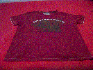 How+I+fold+a+T-shirt.