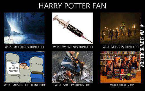 Harry+Potter+fans