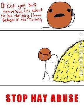 Stop+hay+abuse.
