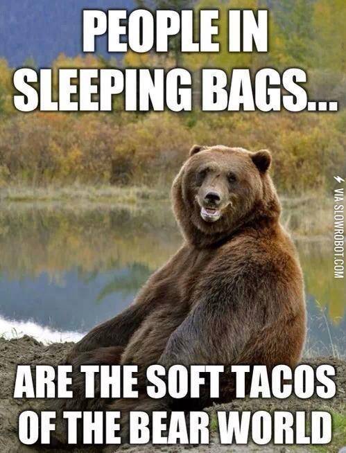 The+soft+tacos+of+the+bear+world.