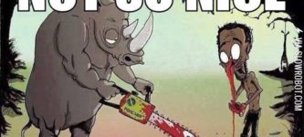 Rhinos+Get+Revenge