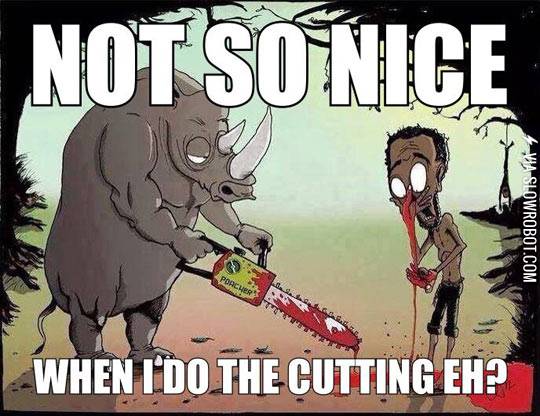 Rhinos+Get+Revenge