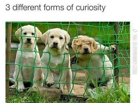 Just+curious%26%238230%3B