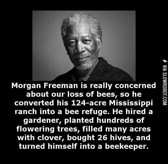 Taking+Care+Of+The+Bees