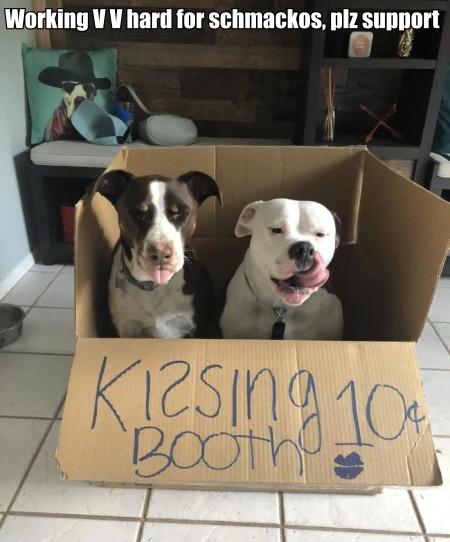 Working+V+V+Hard+For+Schmackos%2C+Plz+Support