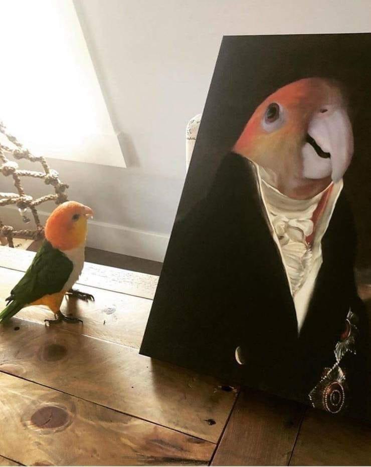 In+all+his+glory%26%238230%3B