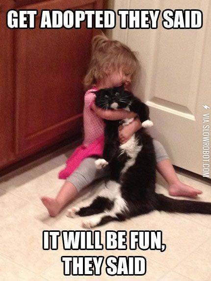 Get+adopted+they+said%26%238230%3B