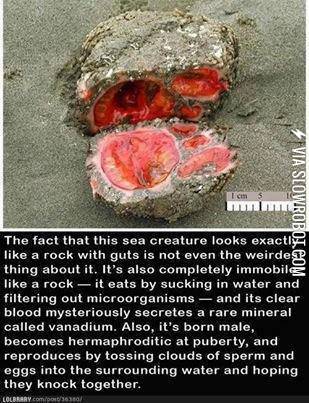 Dang+Nature+You+Scary%21