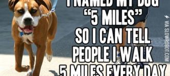 I+named+my+dog+%26%238220%3B5+miles%26%238221%3B