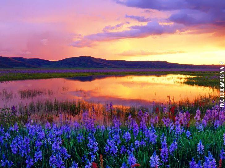 Camas+Prairie%2C+Idaho+at+sunset.