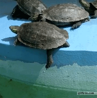 Well+that%26%238217%3Bs+just+mean%26%238230%3B