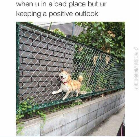 I%26%23039%3Bm+fine+guys%21