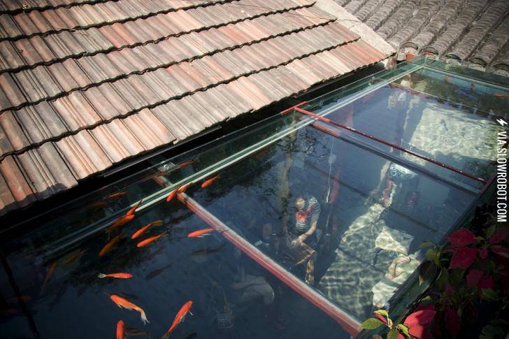 The+roof+of+this+restaurant+is+a+koi+pond.